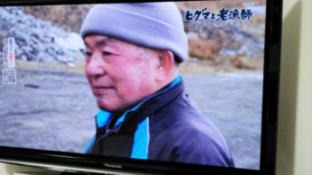 ＮＨＫスペシャル ヒグマと老漁師「大瀬初三郎」さんのアイキャッチ画像