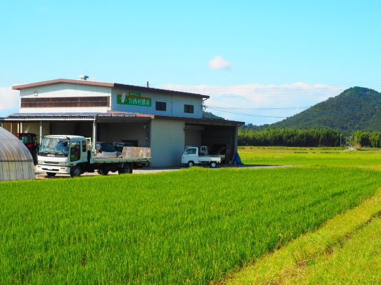農業法人「西村農産」さんのお米はとてもおススメ！のアイキャッチ画像