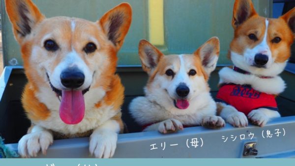 タグ 脳腫瘍 すこぶるグループ トータルヘルスケア